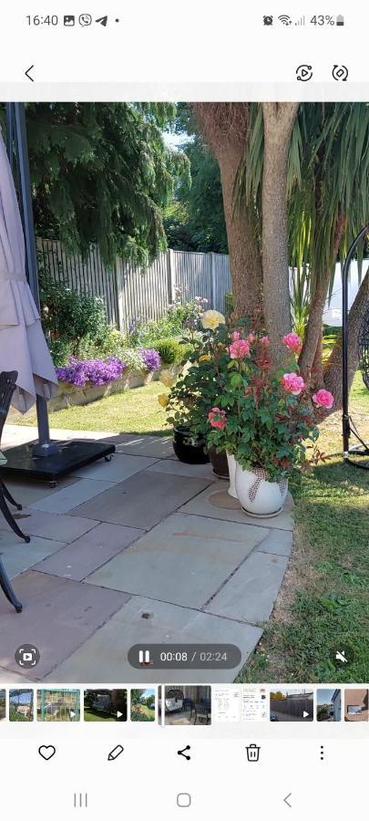 Knockrobin Cottage Wicklow Extérieur photo