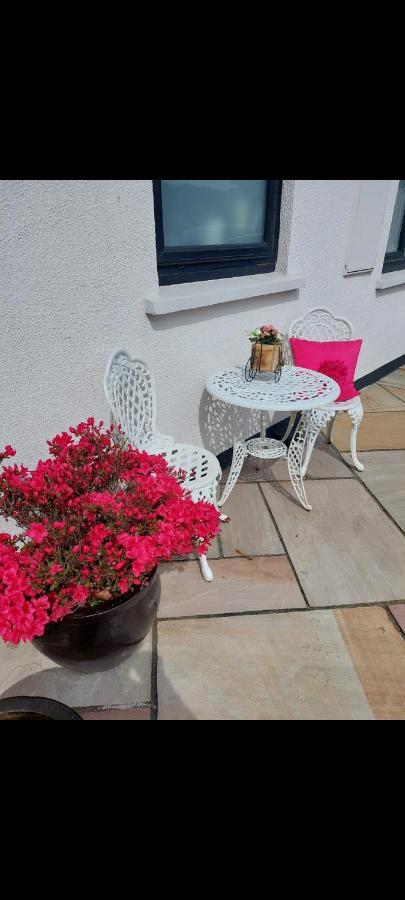 Knockrobin Cottage Wicklow Extérieur photo